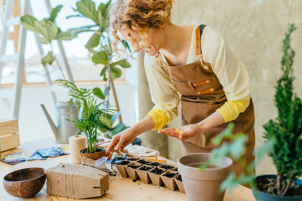 vegetables for your indoor garden