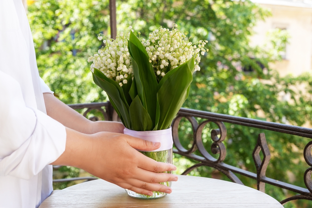 poisonous plants