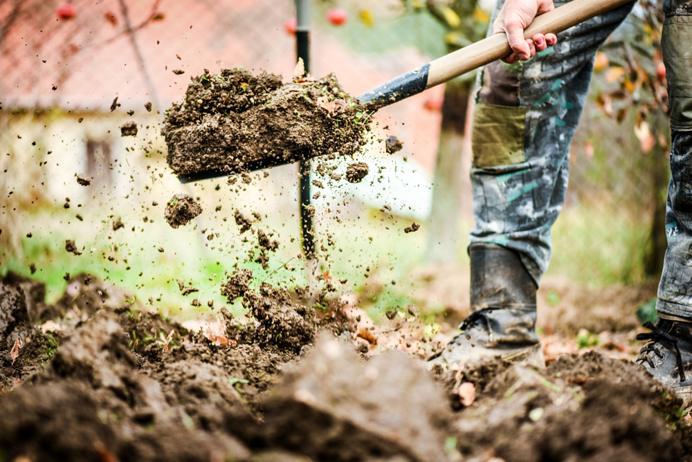 basic gardening tools