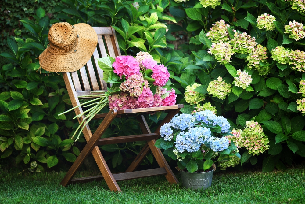 heat-tolerant plants garden