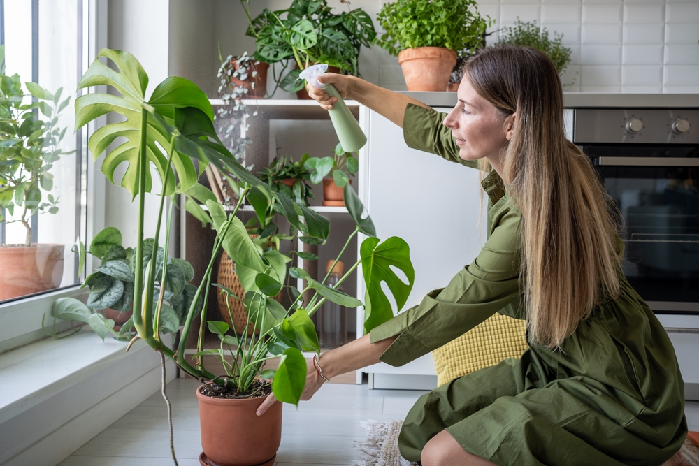 must-have houseplants