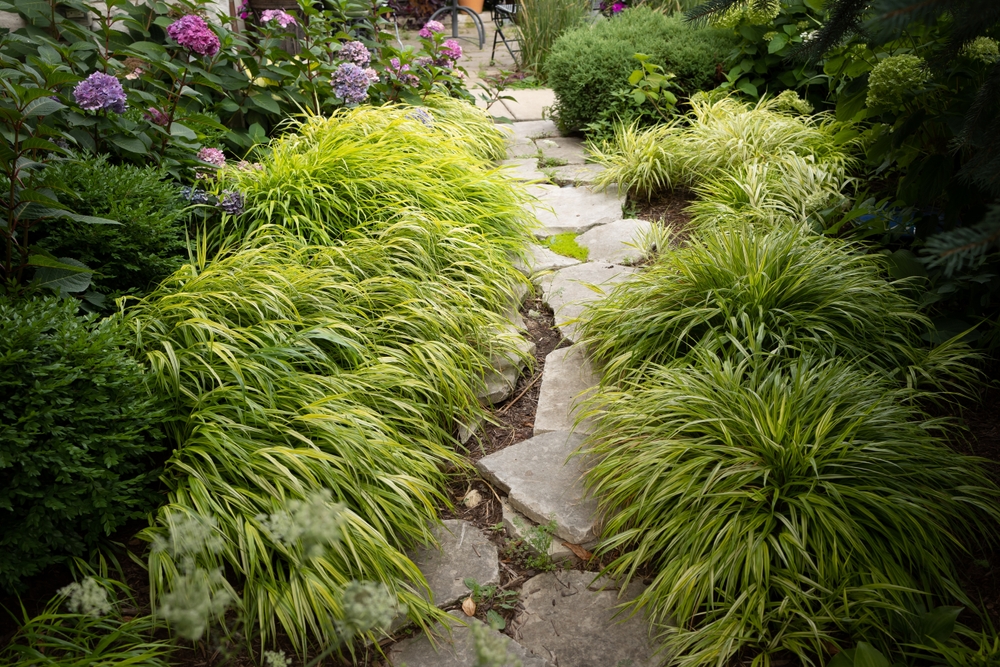 garden can look magical this winter