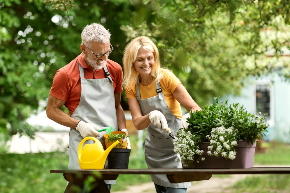 start gardening after 50