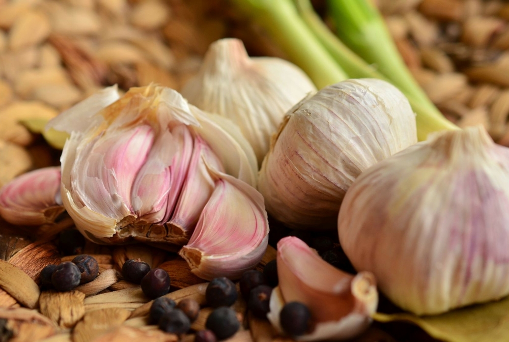 grow your own garlic