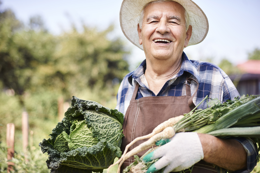 start gardening after 50