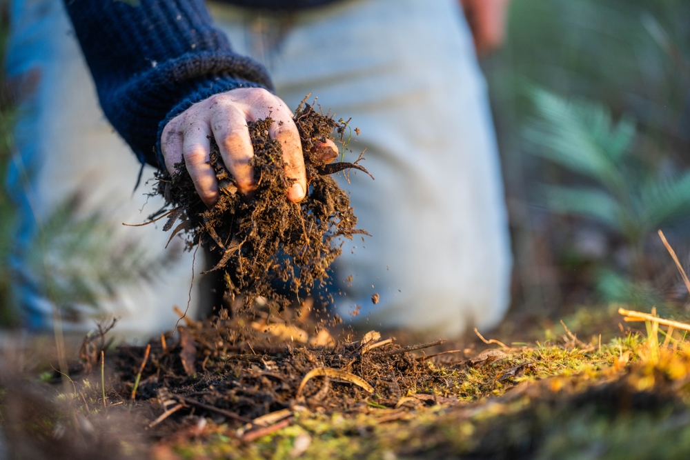 composting