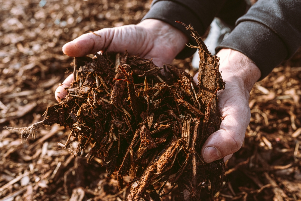 mulch