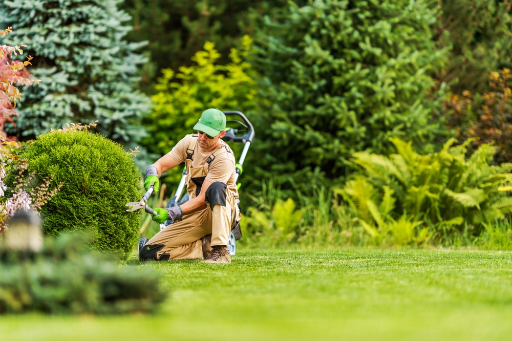 shaped garden myth