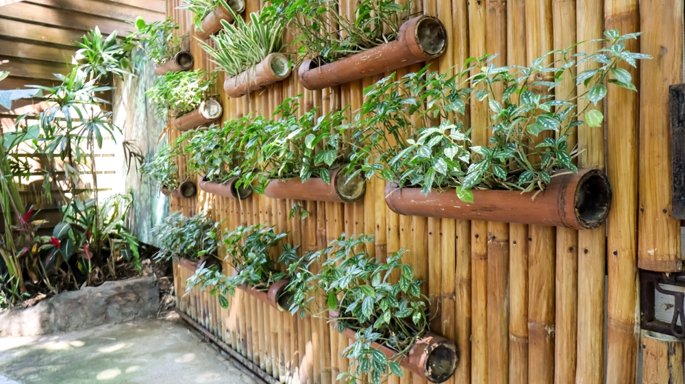 vertical garden