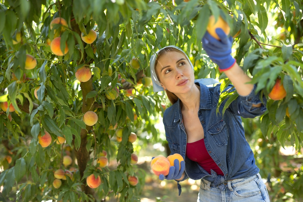 Fastest-Growing Fruit Trees