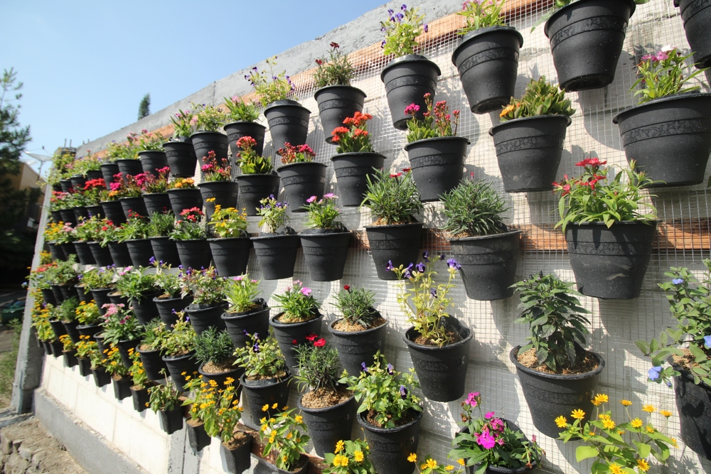 vertical garden