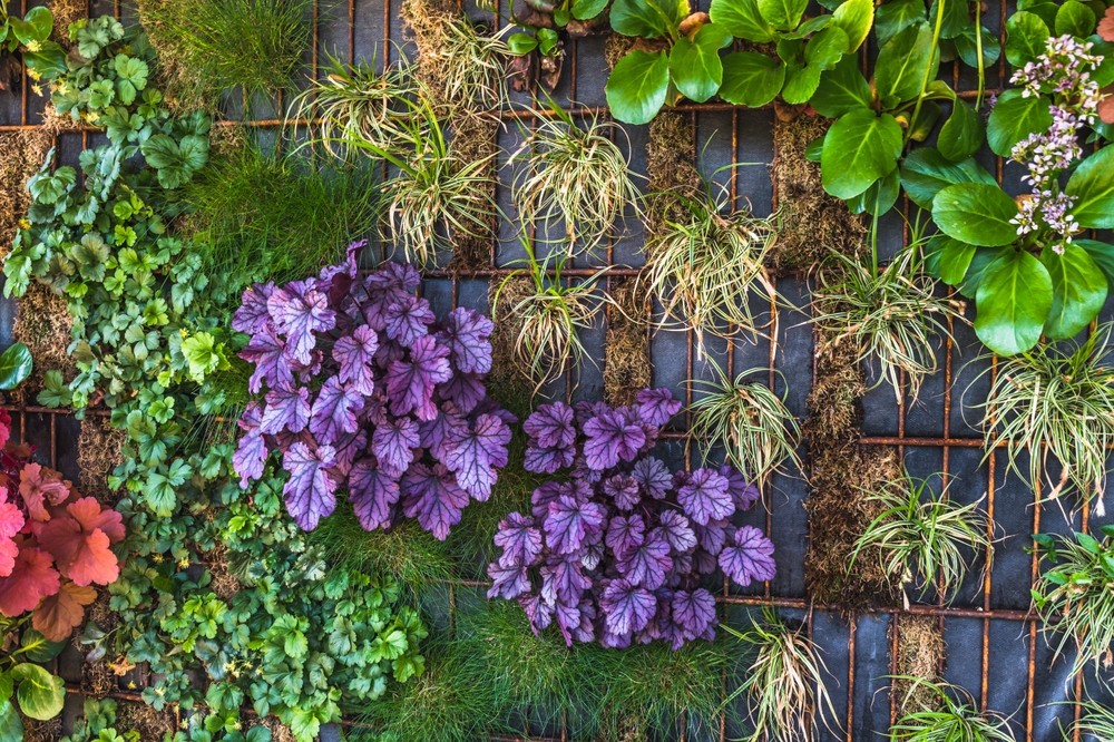 vertical garden