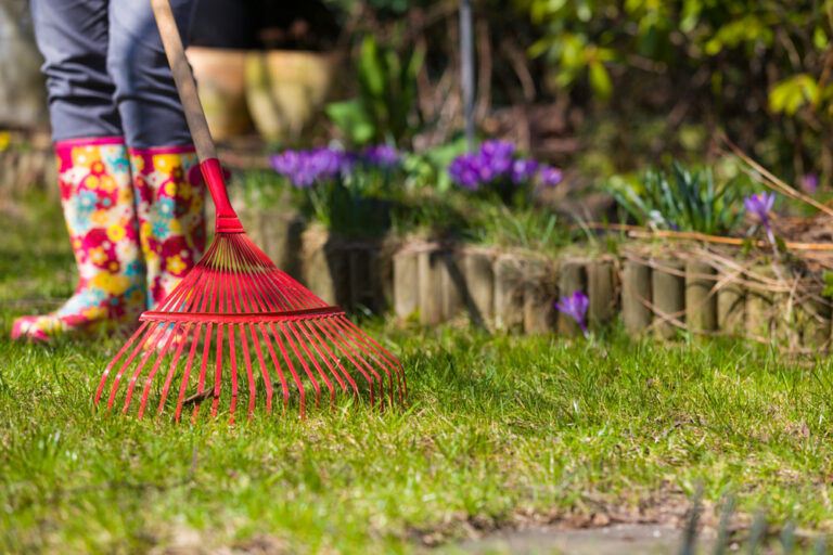 Spring Cleanup