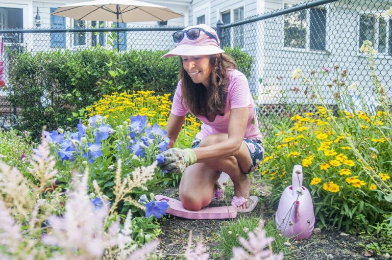 plants for Ashburn gardeners