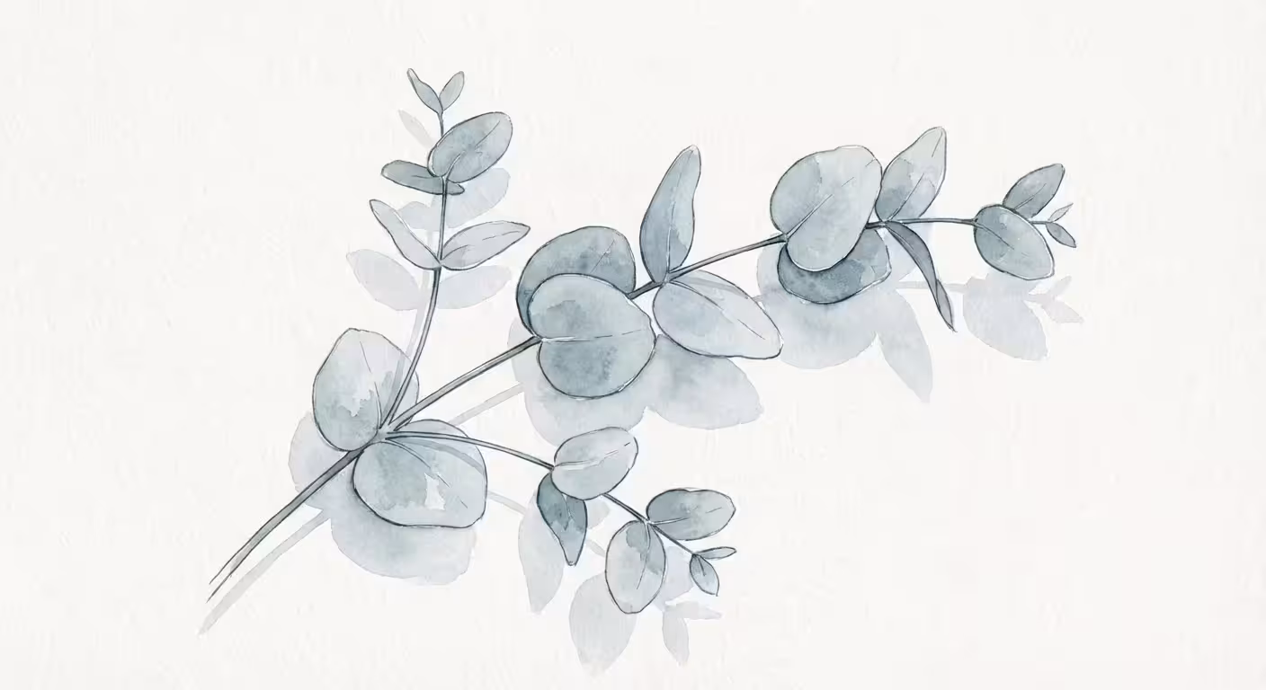 A minimalist watercolor illustration of a eucalyptus branch with round blue-grey leaves.