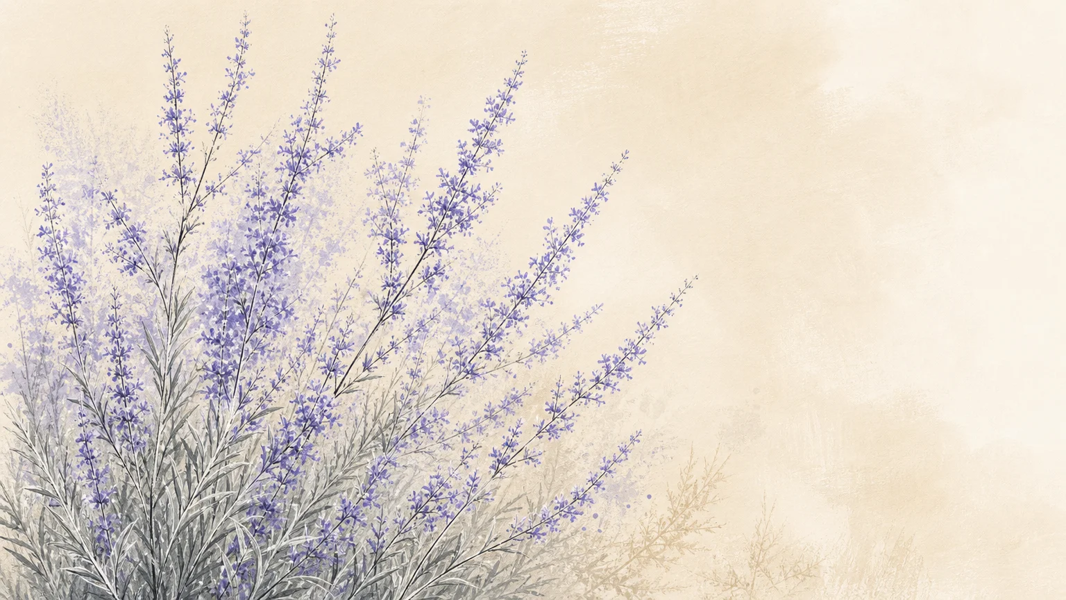 An elegant gouache and ink illustration of tall, hazy lavender-blue Russian Sage stems against a warm, sandy cream background.