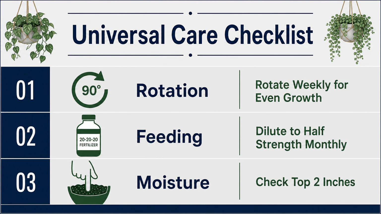 Infographic summary of hanging plant care: rotate 90 degrees weekly, use 20-20-20 fertilizer, and check the top 2 inches of soil.