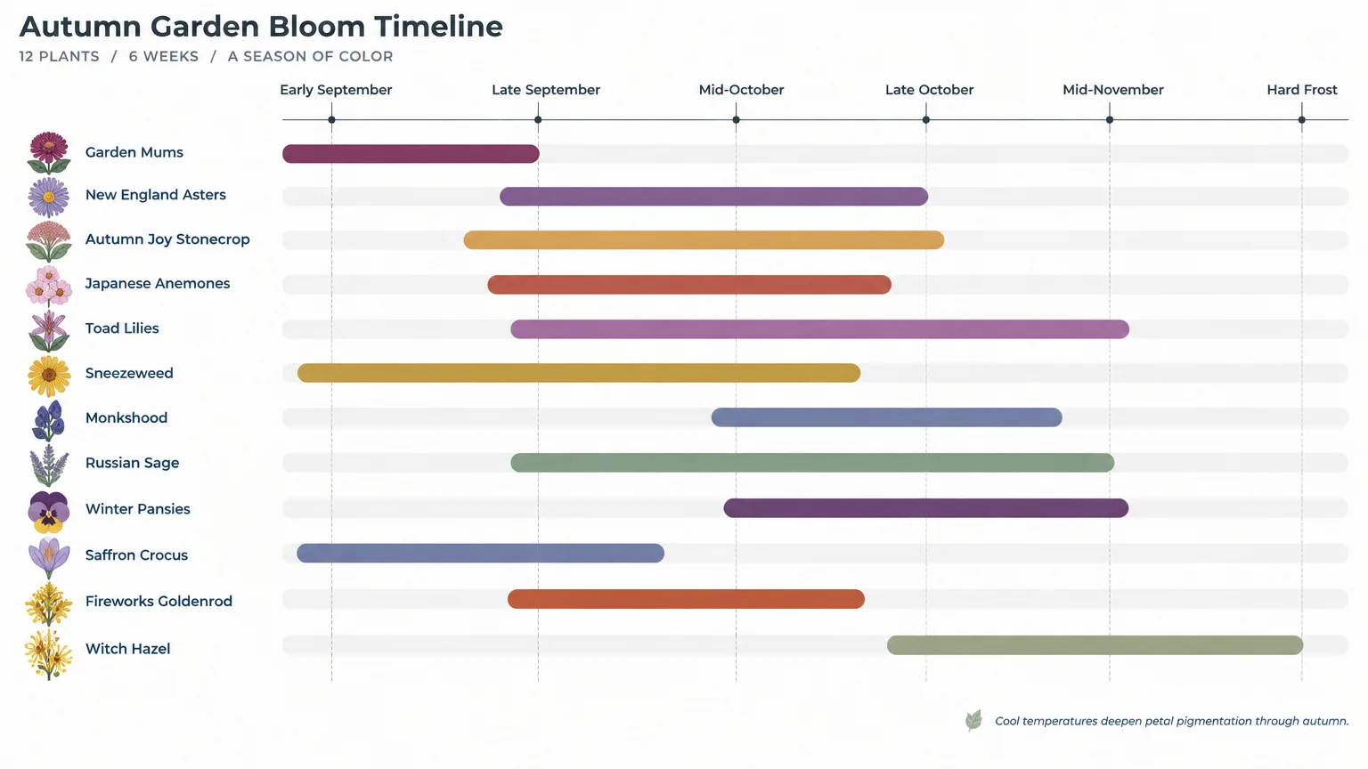 Timeline chart showing the autumn bloom periods for 12 garden flowers from early September through hard frost.