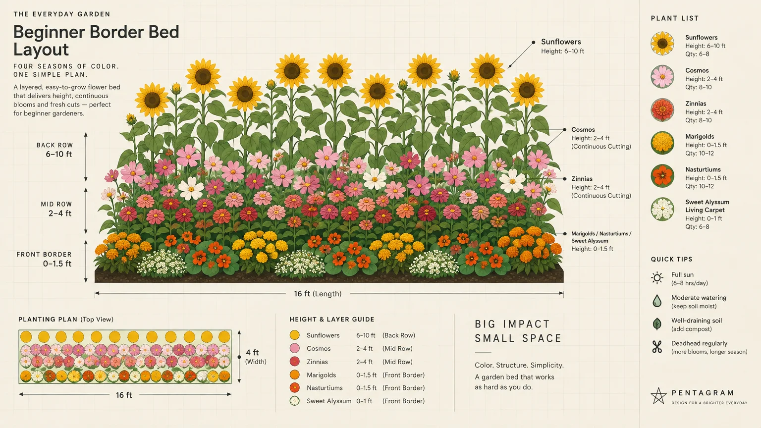 Garden bed diagram detailing a layered planting plan with sunflowers in the back, cosmos and zinnias, and low border flowers.