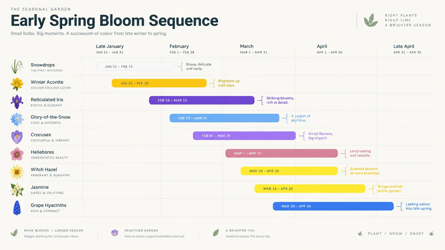Chart showing bloom timelines from late January through late April for snowdrops, aconite, iris, crocuses, and shrubs.