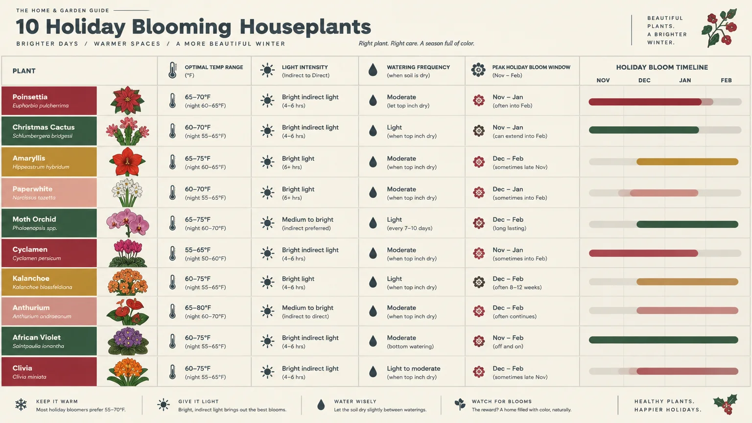 Chart detailing temperature, light, watering needs, and bloom timelines for ten holiday houseplants.