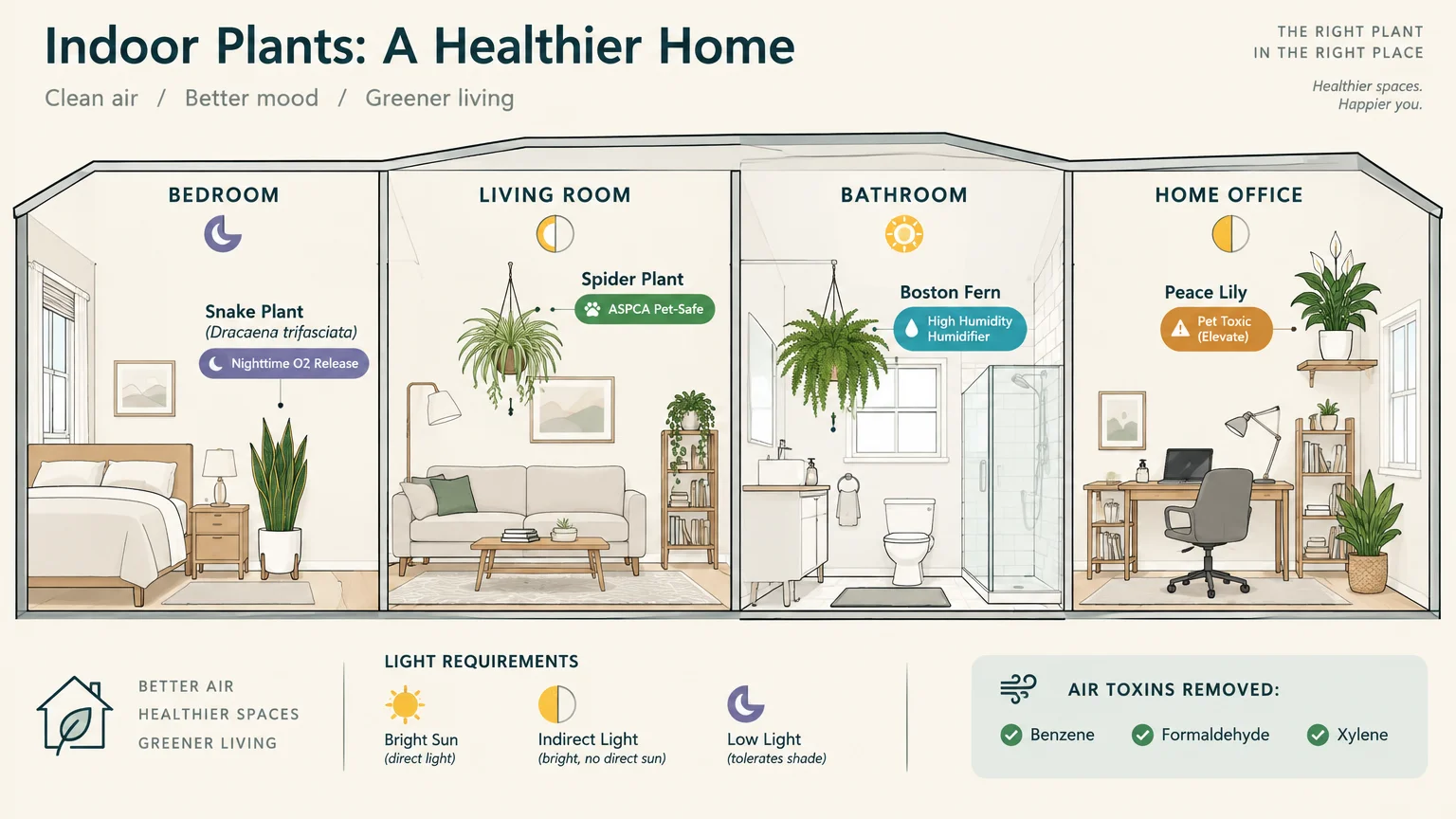 Illustrated cross-section diagram showing houseplant placements across a bedroom, living room, bathroom, and home office.
