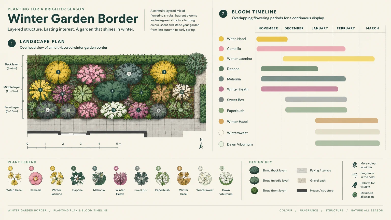 Diagram showing a winter garden border landscape plan alongside a bloom timeline and plant legend for eleven shrubs.
