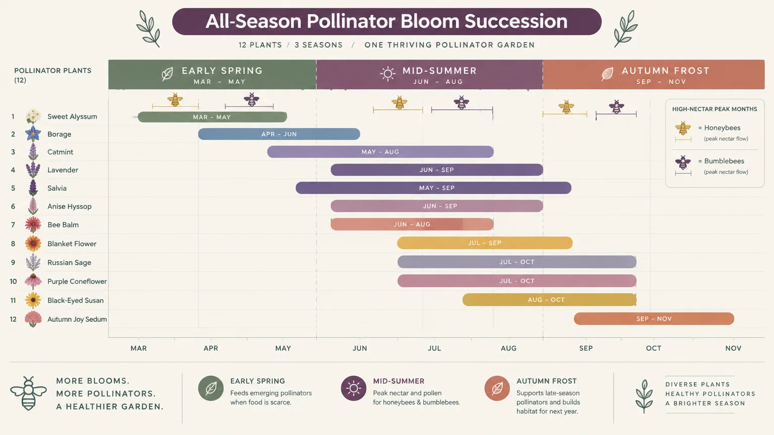 Gantt-style timeline chart showing bloom months across spring, summer, and autumn for twelve different pollinator plants.