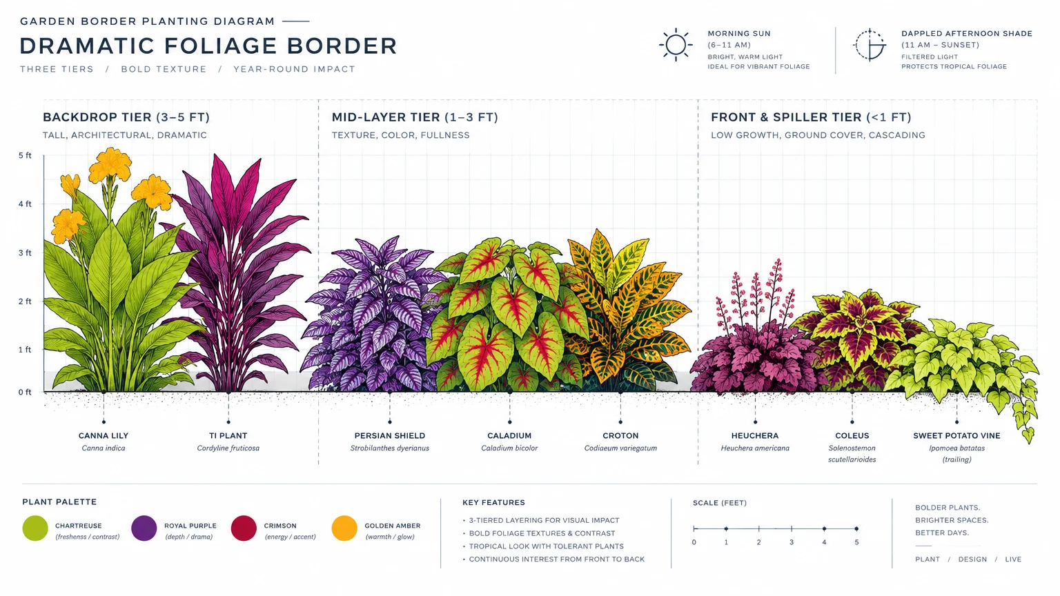 Diagram of a dramatic foliage border showing plants arranged across three height tiers from five feet down to ground level.