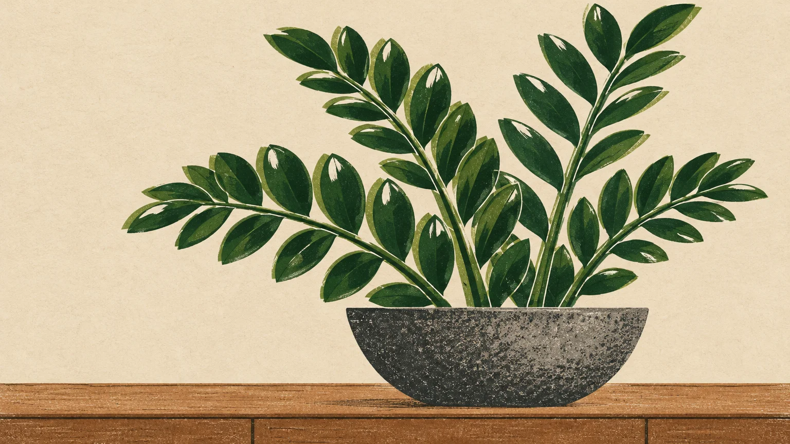 Screenprint of a green ZZ plant potted in a low charcoal bowl resting on a wooden credenza against a neutral wall.