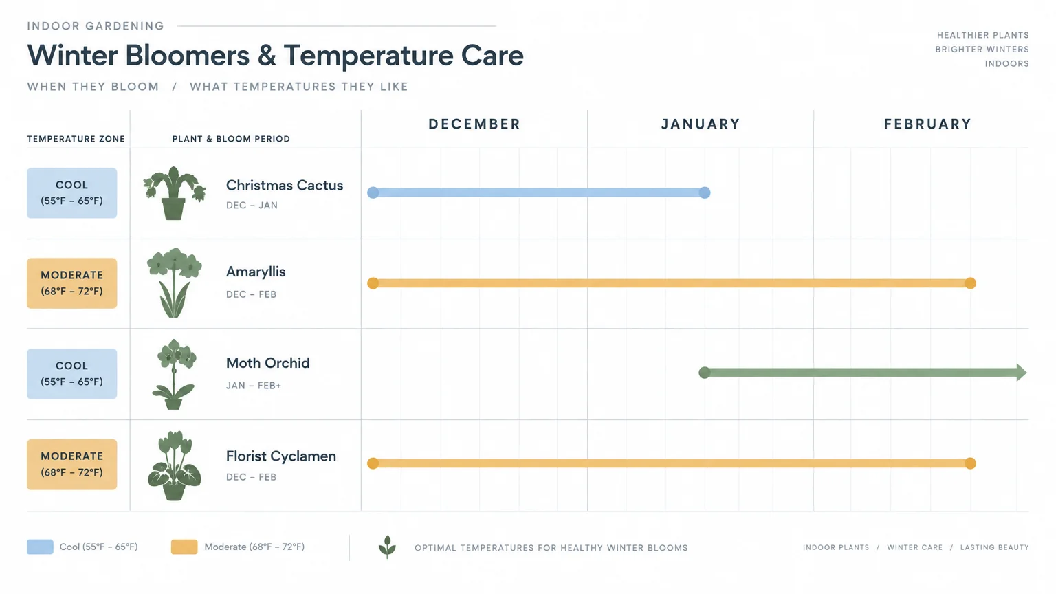 Chart showing bloom schedules and temperature zones from December to February for four winter houseplants.