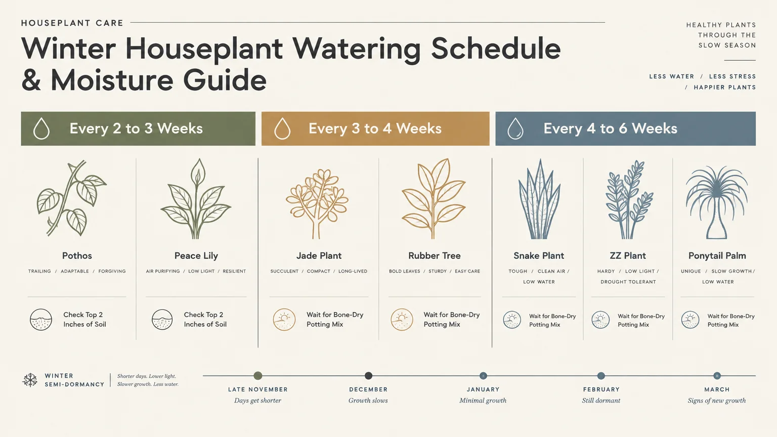 Chart of winter watering guide for seven houseplants categorized by watering frequency from every two to six weeks.