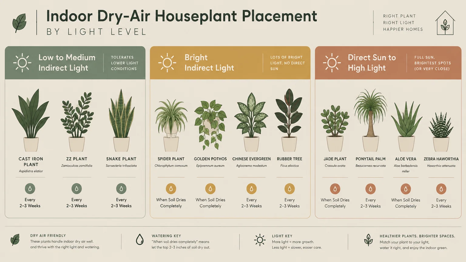 Diagram categorizing houseplants into three light levels: low to medium indirect light, bright indirect, and direct sun.