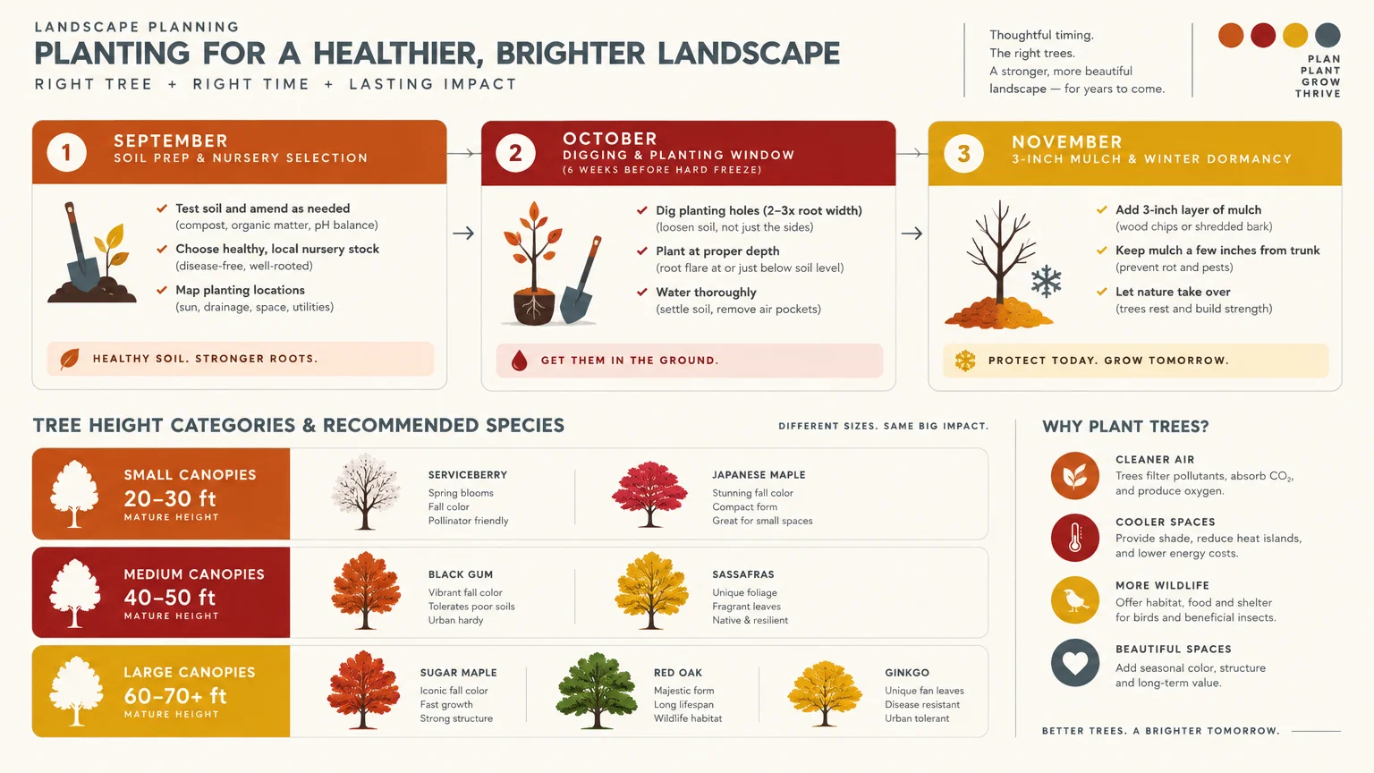 Landscape infographic detailing a three-month autumn planting guide and tree height categories with recommended species.