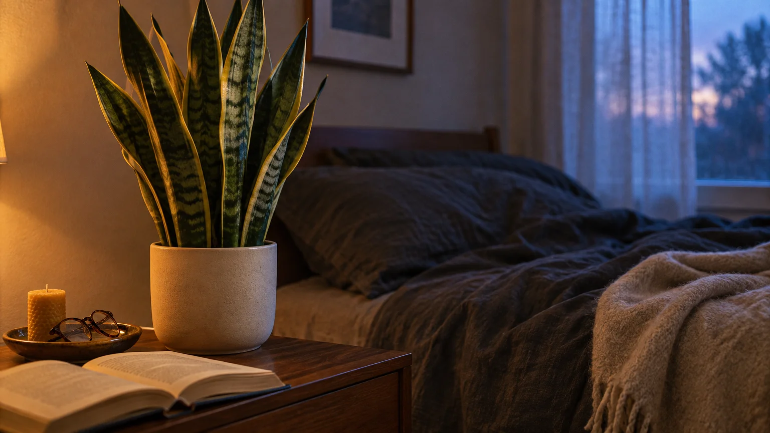 Potted snake plant on a wooden bedside table beside an open book, glasses, candle, and an unmade bed at dusk.