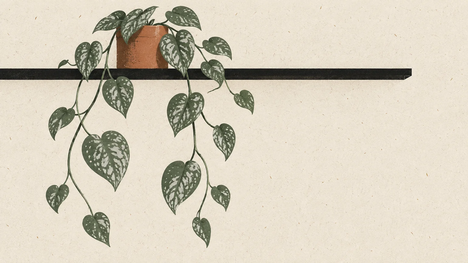 Screenprint illustration of a potted satin pothos with trailing variegated leaves resting on a black wall shelf.