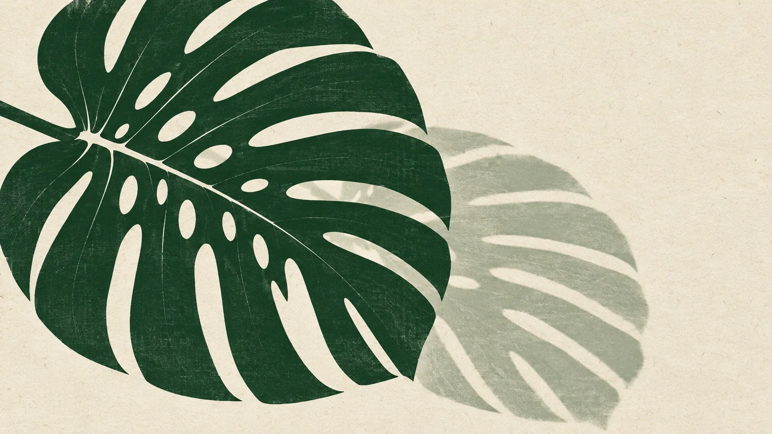 Screenprint illustration of a dark green perforated Monstera deliciosa leaf casting a soft shadow on textured cream paper.